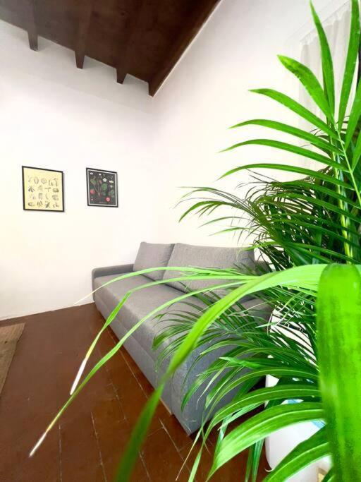 Casa Centro Firenze Wi Fi Aria Condizionata Netflixアパートメント エクステリア 写真