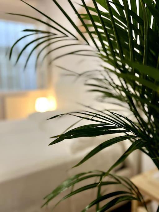 Casa Centro Firenze Wi Fi Aria Condizionata Netflixアパートメント エクステリア 写真